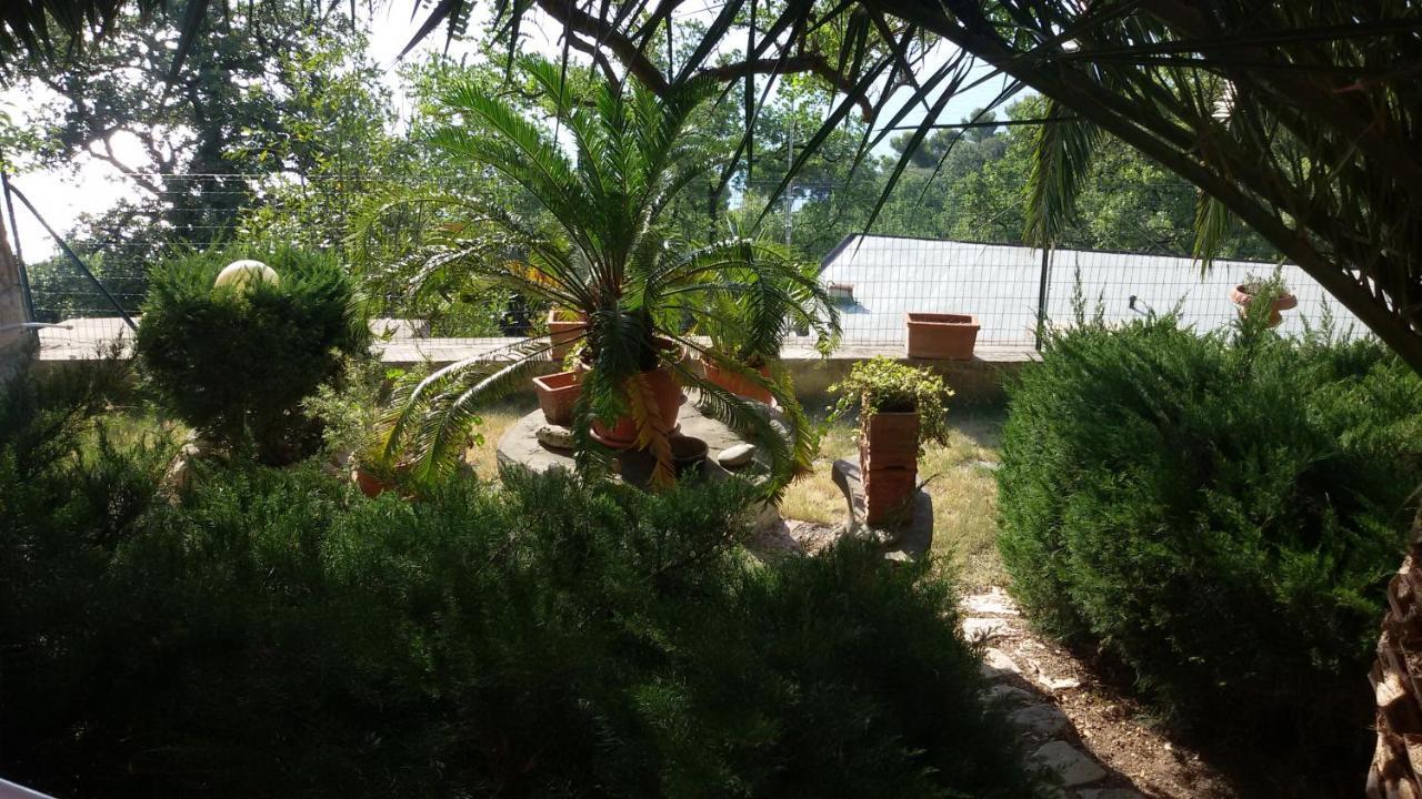 Apartament Loft Sul Mare Sirolo Zewnętrze zdjęcie